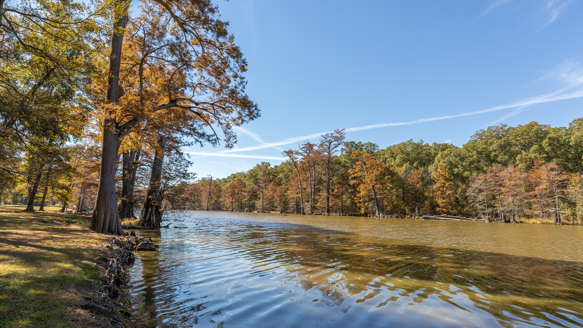 Alligator Lake
