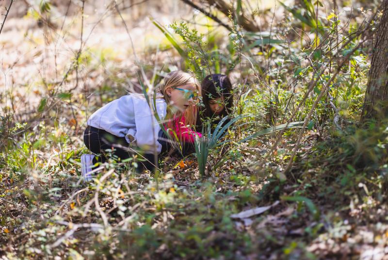 Girl Scout Workshop in grass