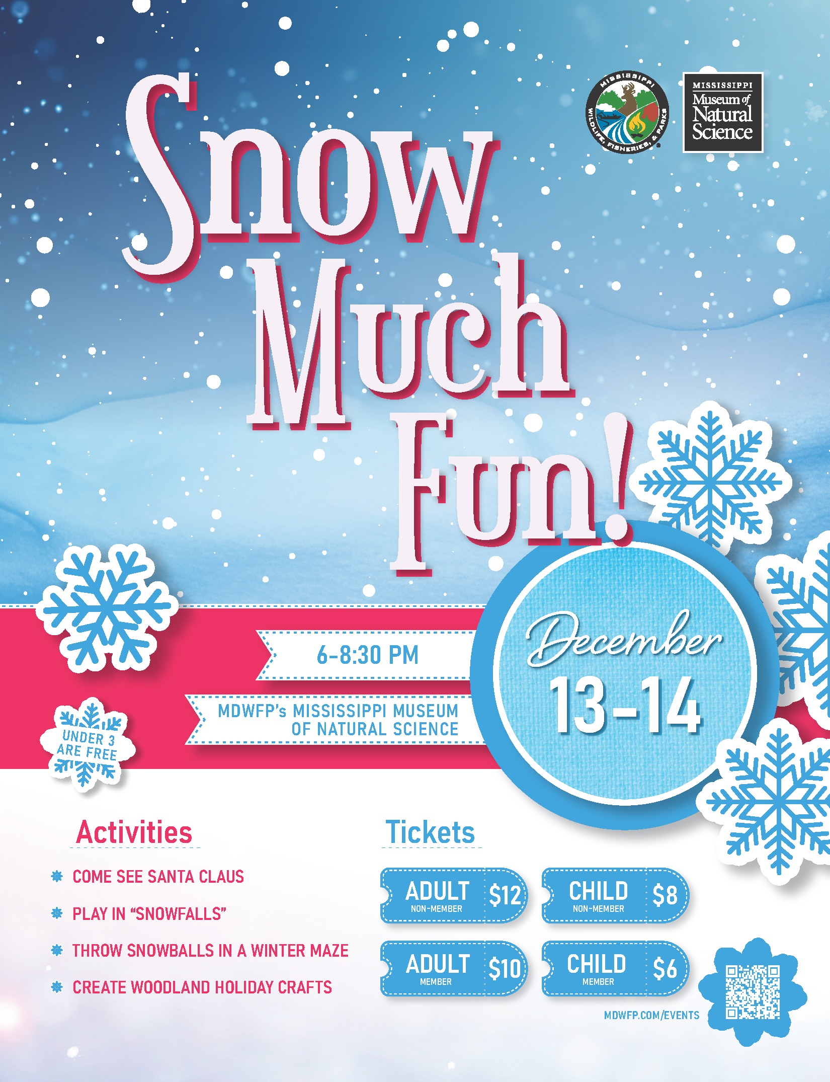 snow much fun poster