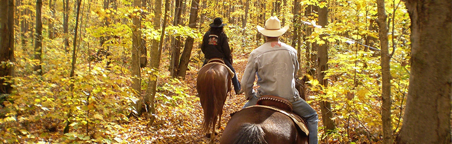 Horse Trails
