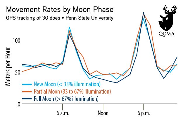 Deer Movements by Moon Phase