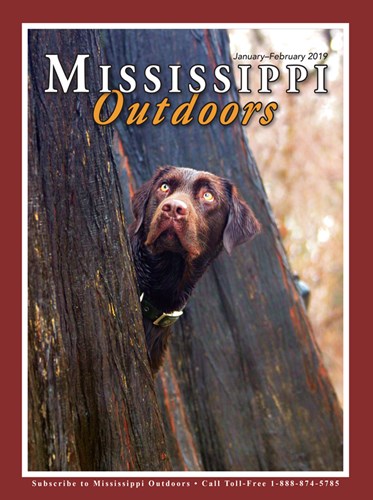 Mississippi Outdoors 2019 cover, featuring a hunting dog