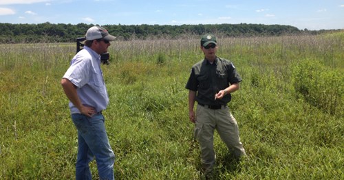 A PLP Biologist and landowner survey wetland plants in a moist-soil impoundment