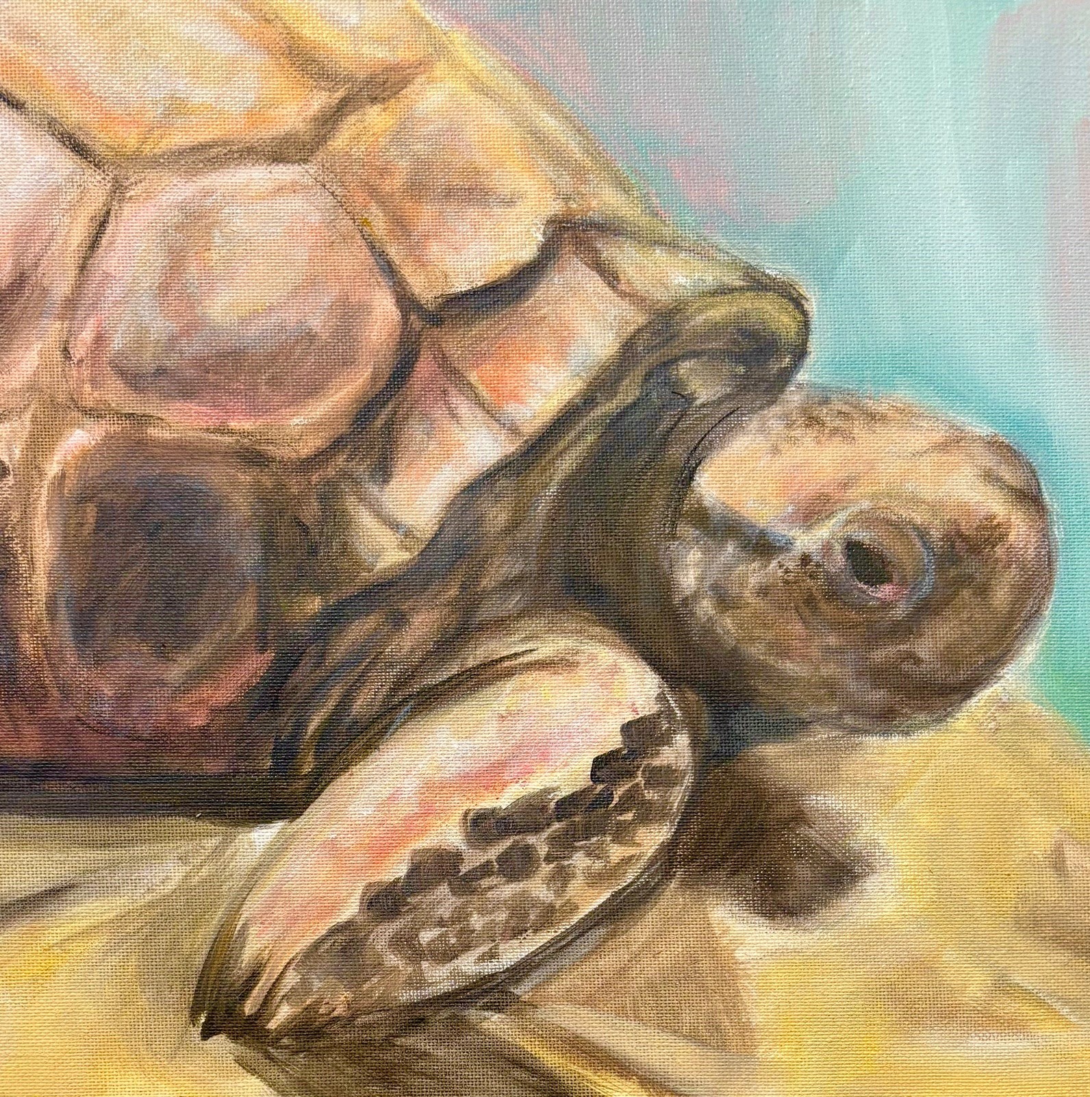 tortoise painting by Keri Davis