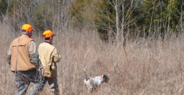 Two hunters follow a dog into the brush