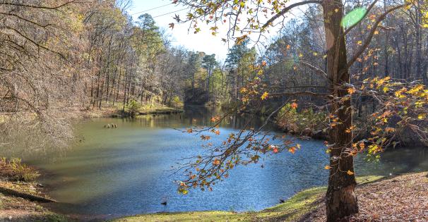 Legion State Park Lake