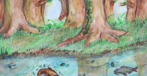 Art Contest Category 2 Winners