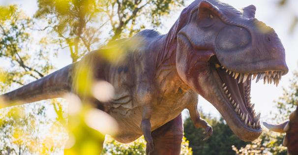 Dinosaurs around the world 2024