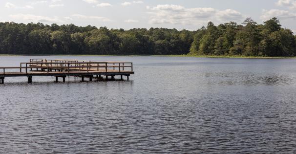 Lake Mary Crawford