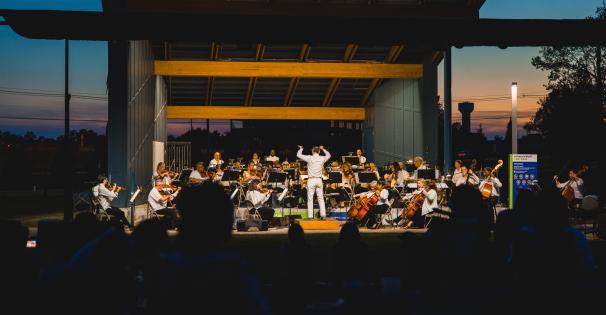Moonlight, music, and meteors