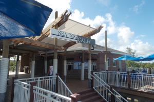 Sea Dog Galley
