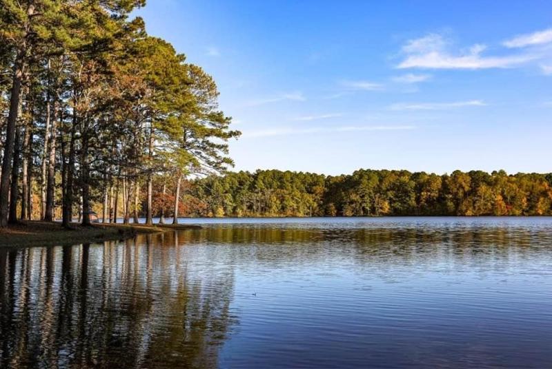 Scenery at Lake Lowndes