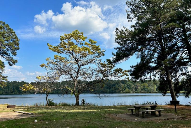 Scenery at Lake Lowndes