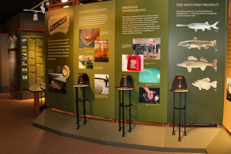 Hatchery exhibit at the Bob Tyler Fish Hatchery Visitor Education Center