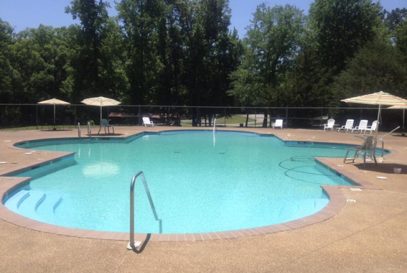 Swimming Pool2