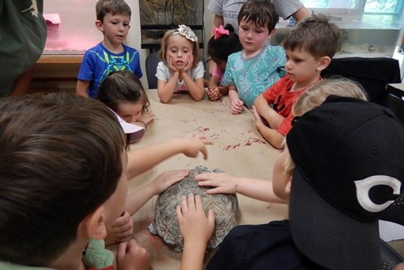 Kids with tortoise