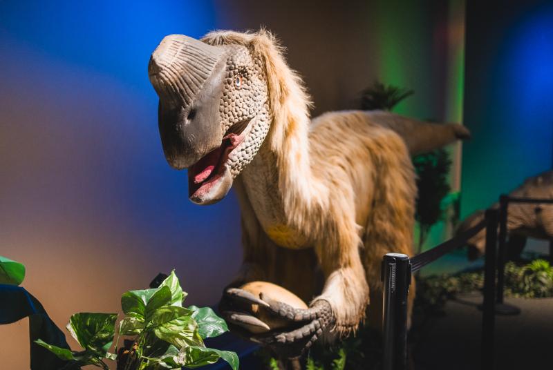 Dinosaurs Around the World