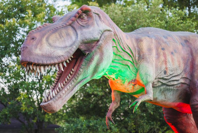 Dinosaurs Around the World