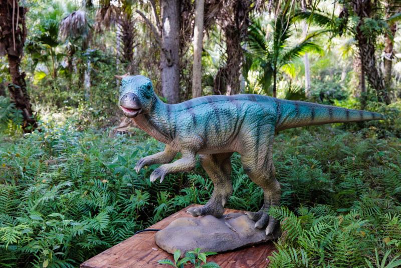 Leallynasaura